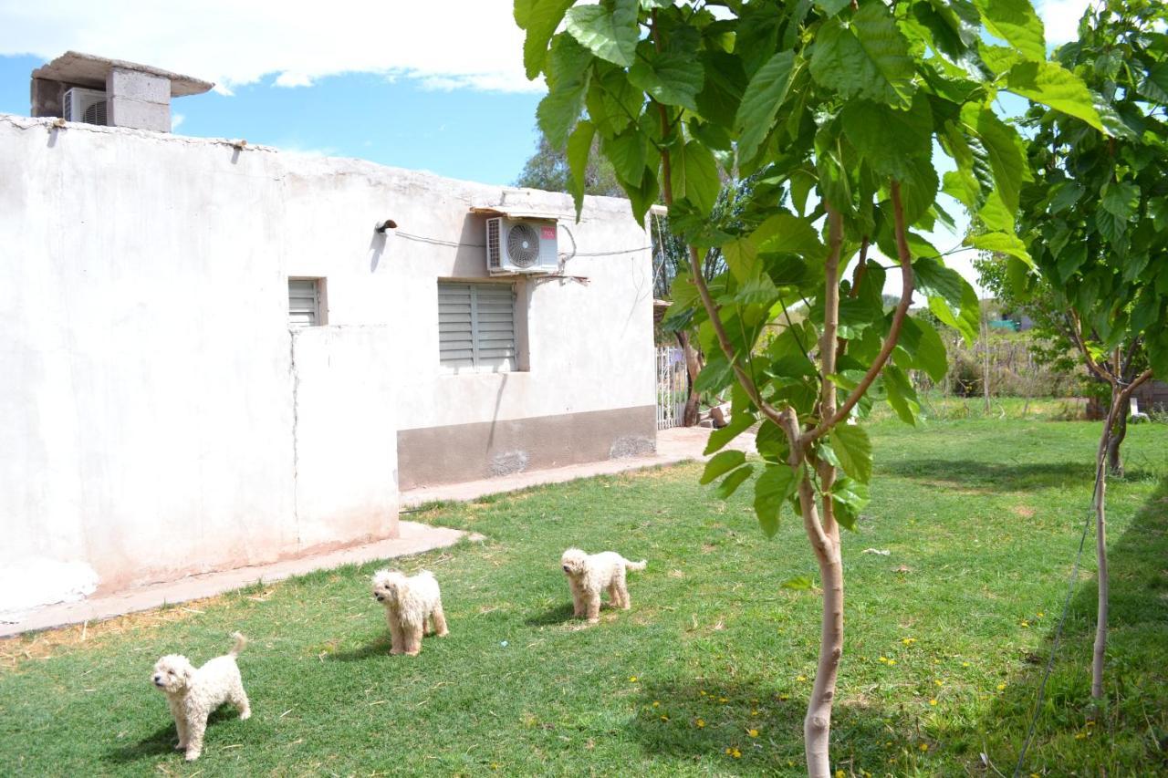 فيامبالا Hospedaje Las Termas المظهر الخارجي الصورة
